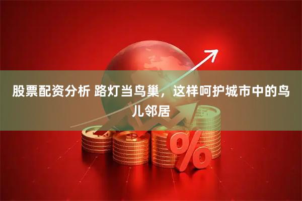 股票配资分析 路灯当鸟巢，这样呵护城市中的鸟儿邻居