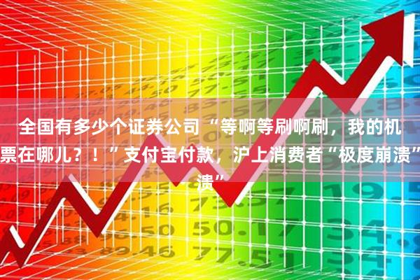 全国有多少个证券公司 “等啊等刷啊刷，我的机票在哪儿？！”支付宝付款，沪上消费者“极度崩溃”