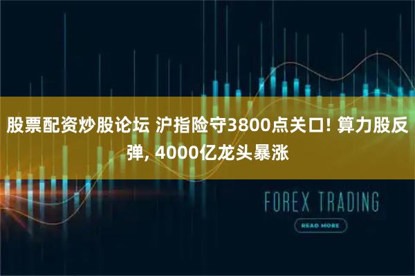 股票配资炒股论坛 沪指险守3800点关口! 算力股反弹, 4000亿龙头暴涨