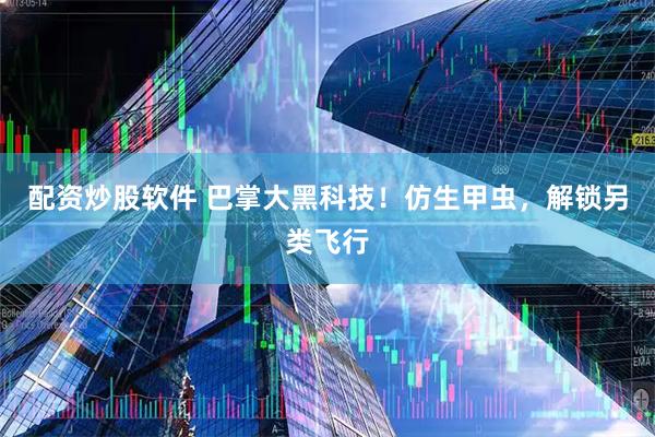 配资炒股软件 巴掌大黑科技！仿生甲虫，解锁另类飞行